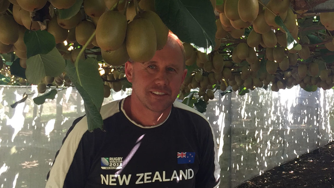Using Actigard post-harvest for Psa control in Kiwifruit