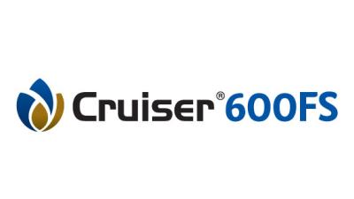 CRUISER
