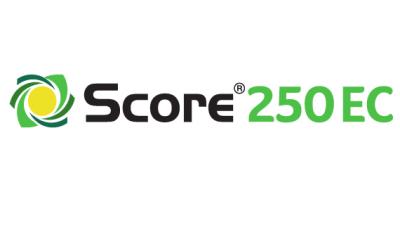 SCORE 250EC