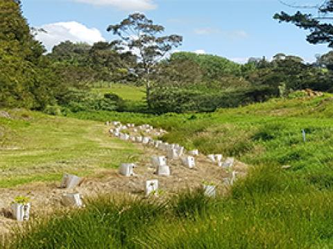 Operation Pollinator Planting Site