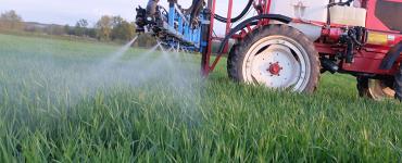 nozzle sprayer