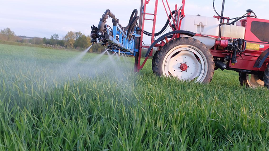 nozzle sprayer