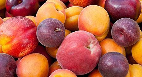 Mix Fruit