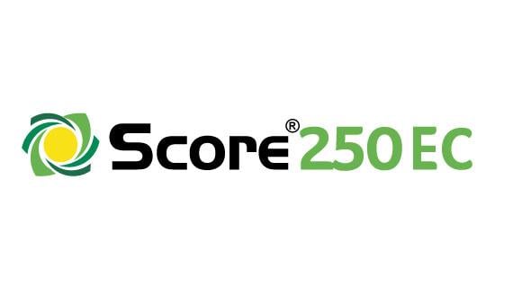 SCORE 250EC