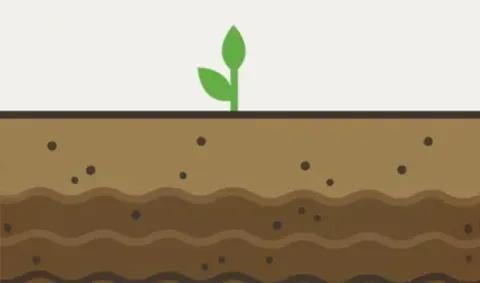 biologicals agriculture Nutrient use efficiency products