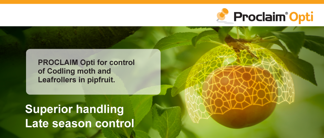 web-hero-slider-proclaim-opti-in-pipfruit-1120-x-478-v2