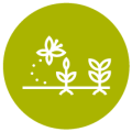 Regenerate soil and nature