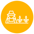 Improve rural prosperity