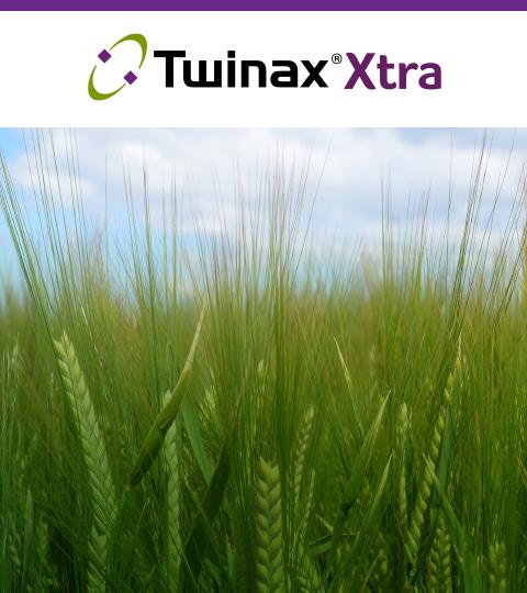 Wheat field Twinax Xtra