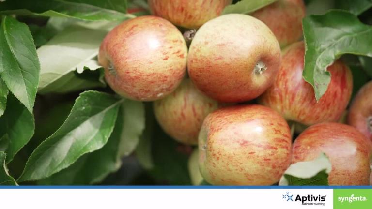 APTIVIS® fungicide for disease control in pipfruit