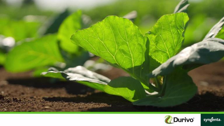 DURIVO® Product Information