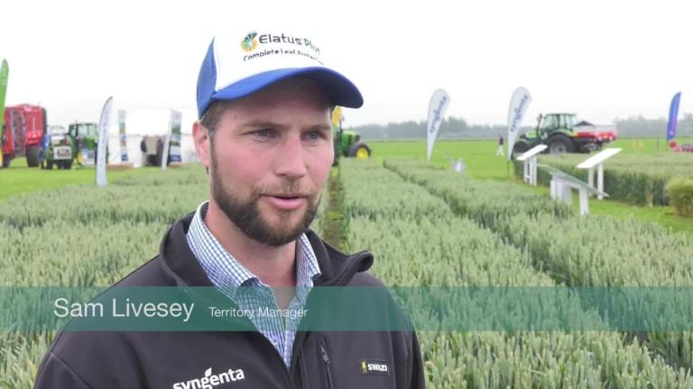 Introducing ELATUS® Plus for wheat in New Zealand