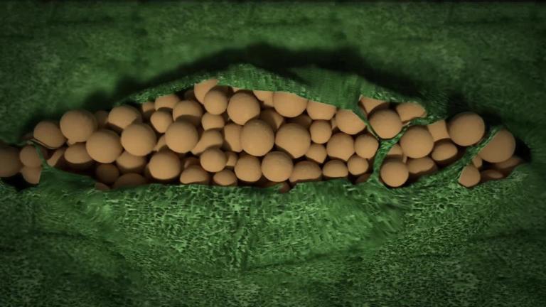 The science behind ELATUS® Plus containing SOLATENOL®