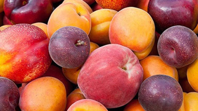 Mix Fruit