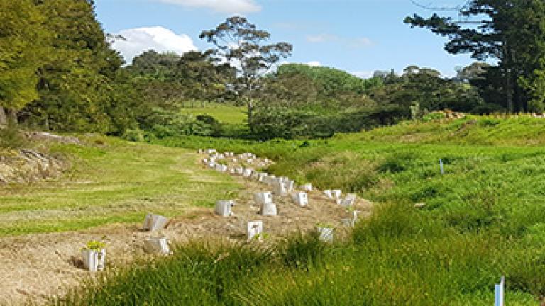 Operation Pollinator Planting Site