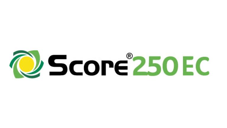 SCORE 250EC