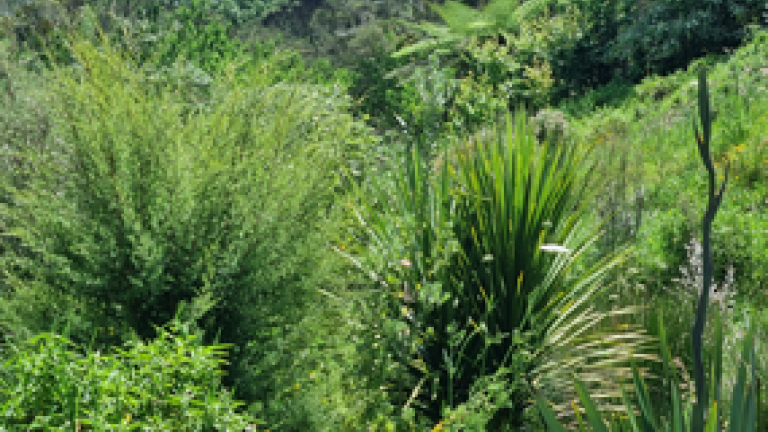 OP kerikeri-site-285-x-214.
