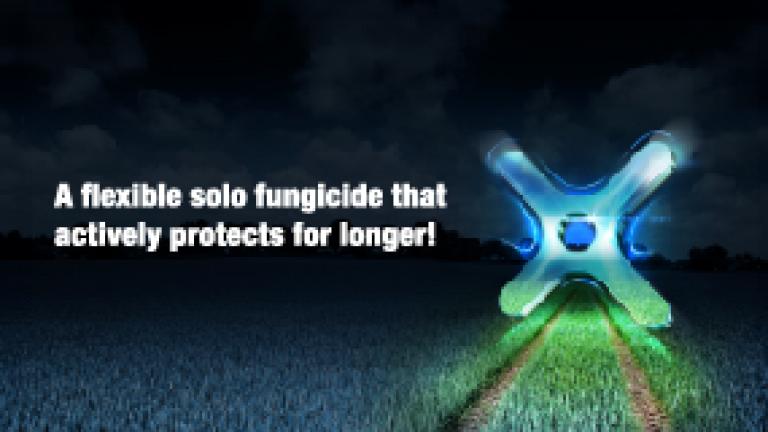 MF_teaserimage_285x214