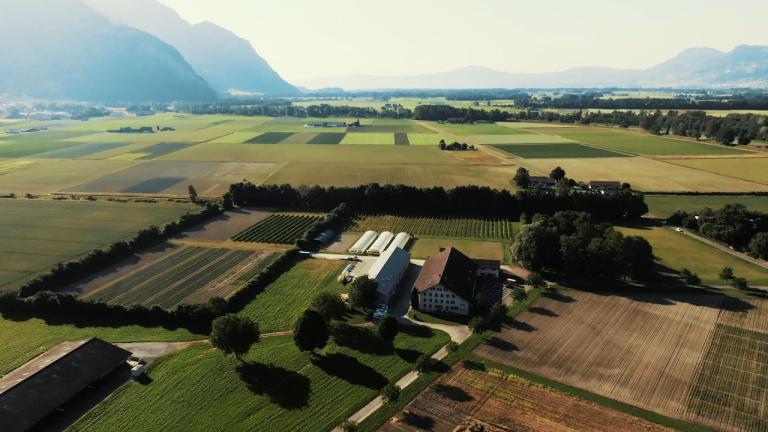 Innovation at the Source: Inside Syngenta's Swiss Research & Development Facilities