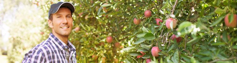 Man with apple tree