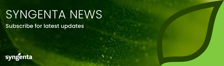 syngenta_news_banner_header