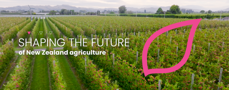 About Syngenta New Zealand