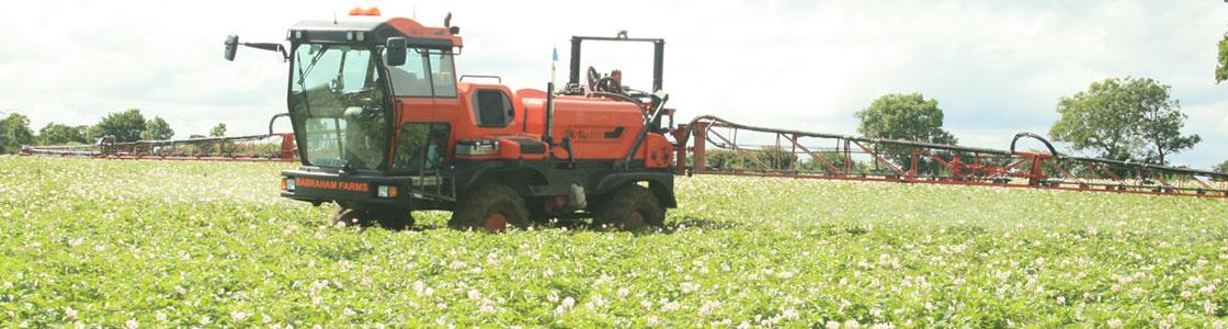 Spraying potato crop