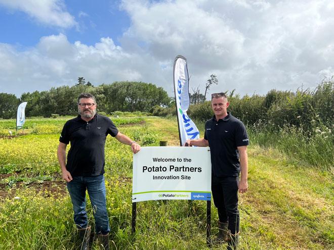 potato-partners Team