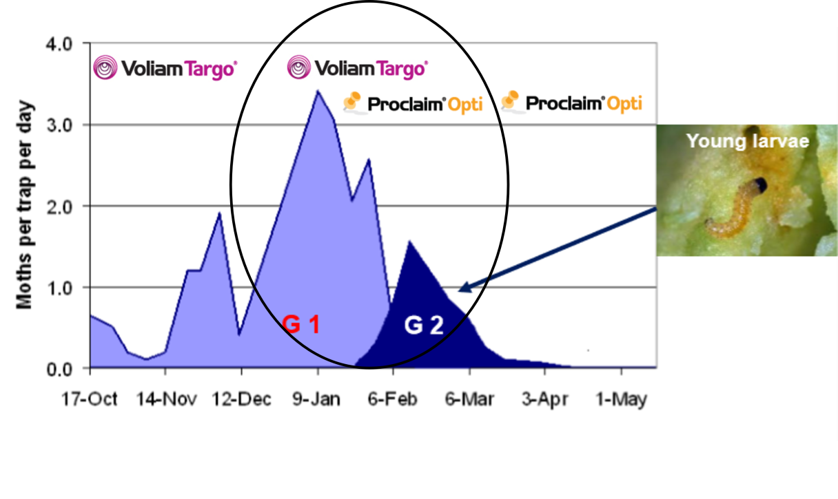 codling_moth_timing