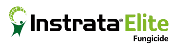 Instrata Elite