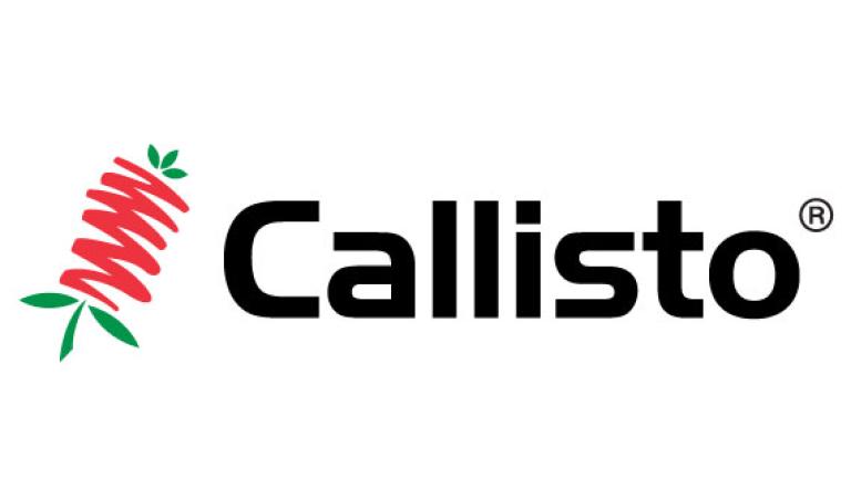 CALLISTO