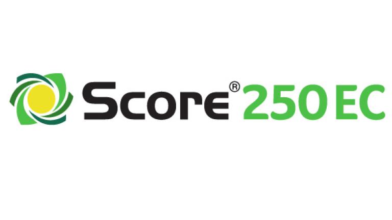 SCORE 250EC